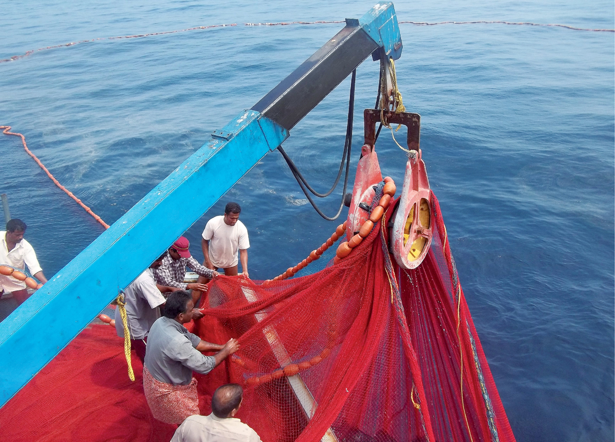 Purse Seine Fishing in India
